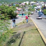 Atiende Áreas Verdes reportes por crecimiento de maleza y caída de árboles