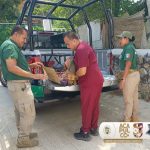SSP Acapulco rescata ejemplares de fauna silvestre y animales de compañía durante mayo y junio.