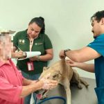 Interviene Ecología por presunto maltrato animal en Ciudad Renacimiento