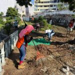 Despliega Gobierno de Acapulco operativo integral de servicios públicos en Multifamiliar Progreso