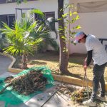 Despliega Áreas Verdes cuadrillas de poda y limpieza en puntos prioritarios