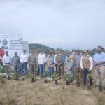 Con Leticia Lozano, suma Acapulco más de 36 mil árboles para recuperar áreas verdes