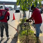 Lleva brigada “Paz, Honestidad y Corazón para la Reconstrucción” atención urbana a Puerto Marqués
