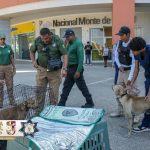 Respalda Gobierno de Acapulco acciones ciudadanas y protección animal