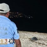 Protege y rescata SSP Acapulco más de 700 huevos de tortuga durante el fin de semana