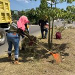 Da Gobierno de Acapulco mantenimiento al camellón Cayaco-Puerto Marqués
