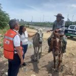 Implementa Gobierno de Acapulco operativos en Llano Largo